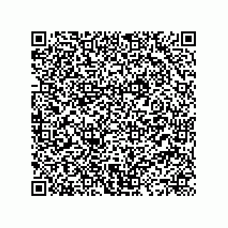vCard 73496413137