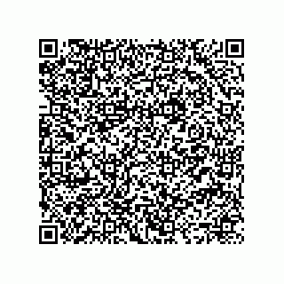 vCard 73496413333