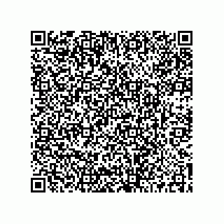 vCard 73512679381