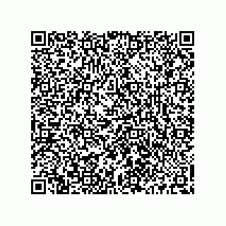 vCard 73513040049