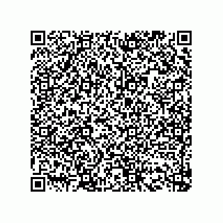 vCard 73513040053