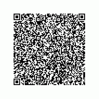 vCard 73513040217