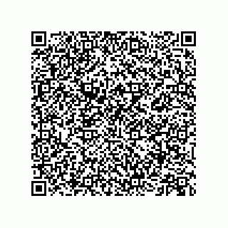 vCard 73513040281