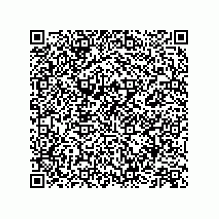 vCard 73513040313