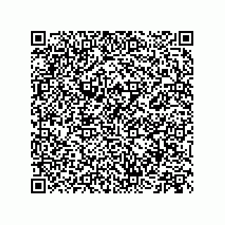 vCard 73513040329