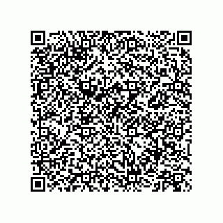 vCard 73513040331