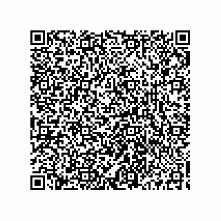 vCard 73513040333