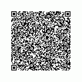 vCard 73513040381