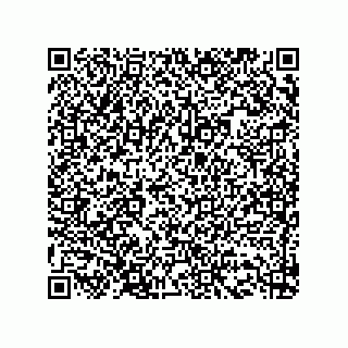 vCard 73513040399