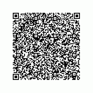 vCard 73513093187