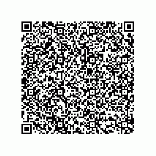 vCard 73513097331