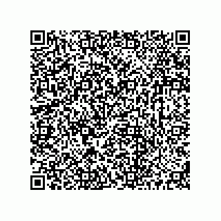vCard 73513120029