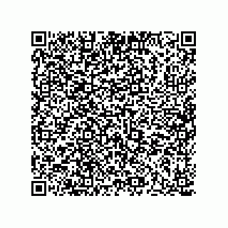 vCard 73513120270