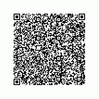 vCard 73513120275