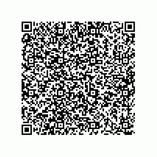 vCard 73513120281