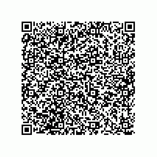 vCard 73513120285