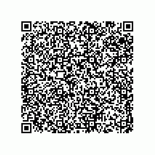vCard 73513120287