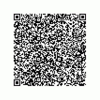 vCard 73513120299