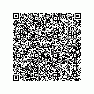 vCard 73513120331