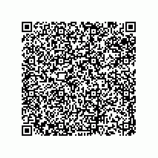 vCard 73513120333