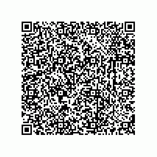 vCard 73513120334