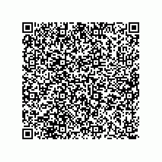 vCard 73513120381