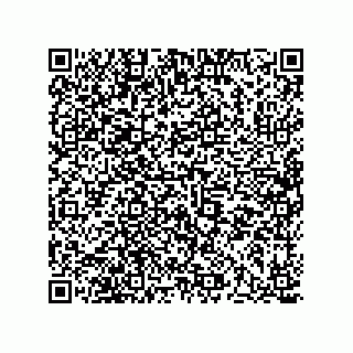vCard 73513120387