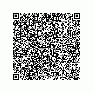 vCard 73513120390