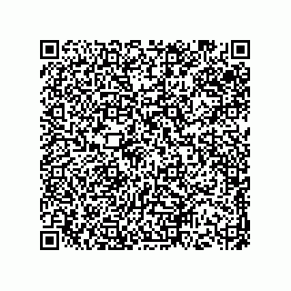 vCard 73513120393