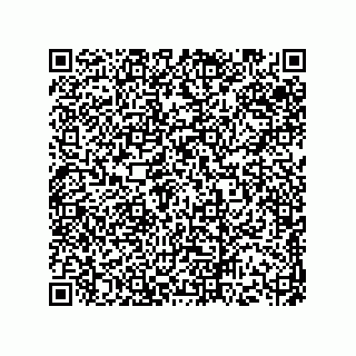 vCard 73513121029