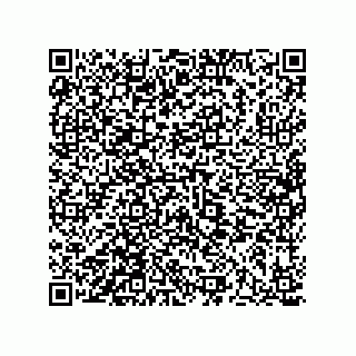 vCard 73513121052
