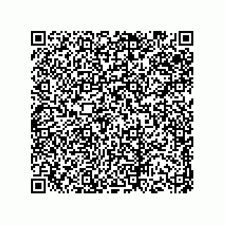 vCard 73513121070