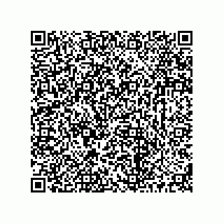 vCard 73513121079