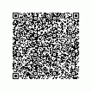 vCard 73513121081