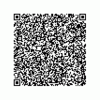 vCard 73513121181