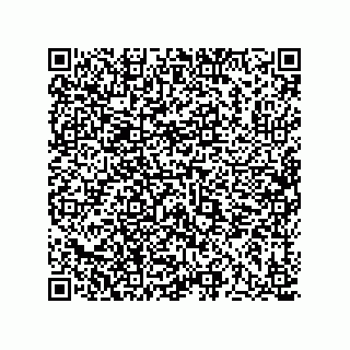 vCard 73513193131