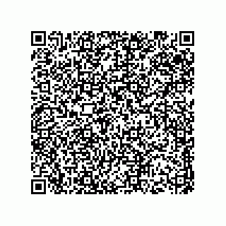 vCard 73513193290