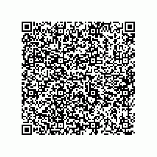vCard 73513193293