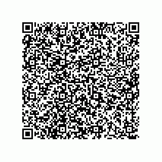 vCard 73513193389