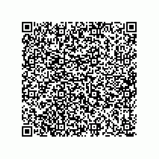 vCard 73513193409