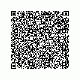 vCard 73513194287