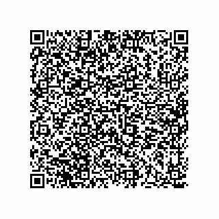 vCard 73513194331