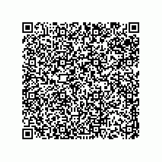 vCard 73513194336