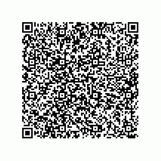 vCard 73513196293