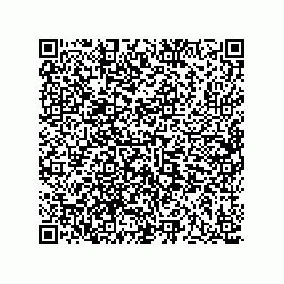 vCard 73513196352