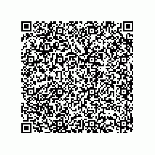 vCard 73513240251