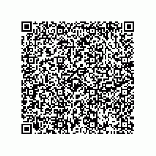 vCard 73513240311