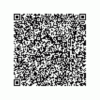 vCard 73513240323