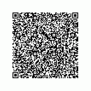 vCard 73513240383