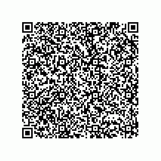 vCard 73513292334